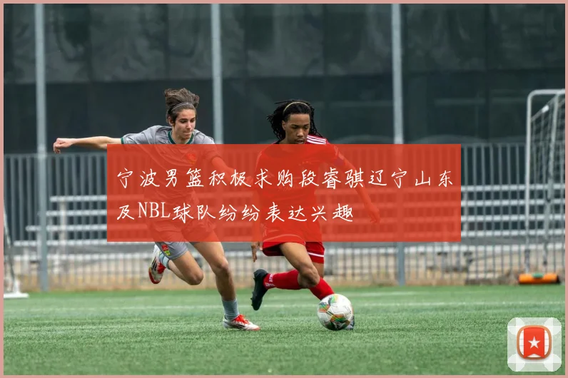 宁波男篮积极求购段睿骐辽宁山东及NBL球队纷纷表达兴趣